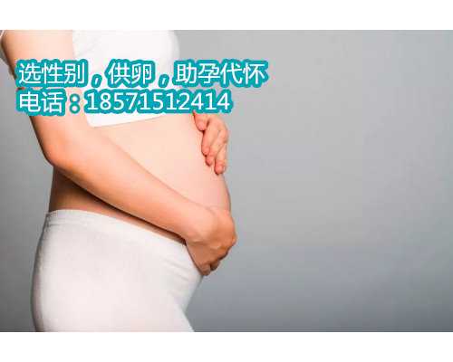北京助孕价格,为您打造美好的家庭。