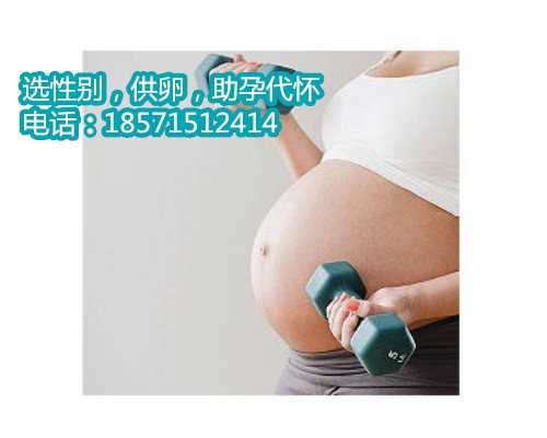 北京供卵流程,打造完美家庭的新方法
