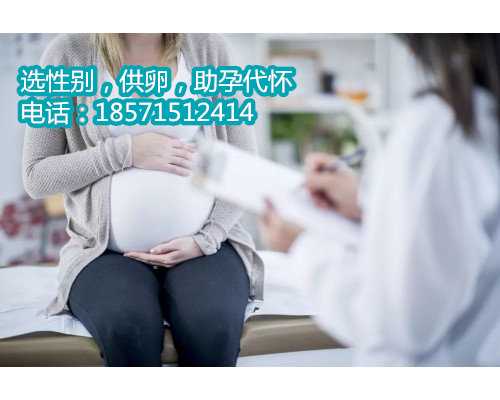 北京助孕价格,试管成功的秘诀和经验