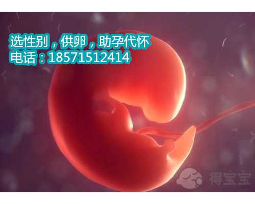 北京助孕价格男孩是传承家族的未来