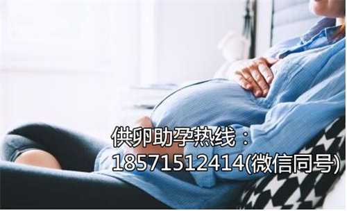 北京助孕价格,让您的生育梦想成真